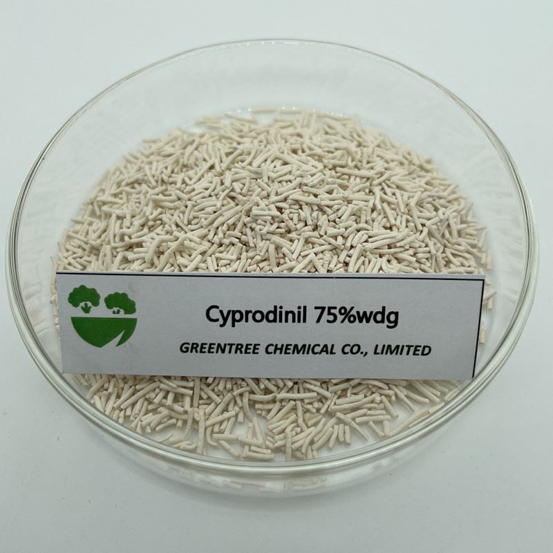 CAS NR. 121552-61-2 Cyprodinil Fungicidas 75 proc. wdg 98 proc. tc