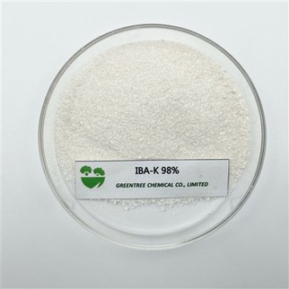 CAS Nr. 60096-23-3 Šaknų hormonas IBA-K indolas sviesto rūgšties kalio druska 98 proc.
