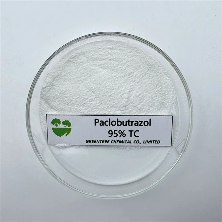 CAS NR. 76738-62-0 Mango trąšos paklobutrazolas 95 proc. Tc augalų augimo reguliatorius