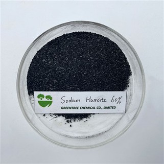 CAS NR. 68131-04-4 Humic rūgšties natrio humatas 60 %, skirtas akvakultūrai